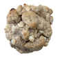 Snickerdoodle Vanilla Chip Cookie