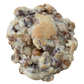 Turtle Cookies